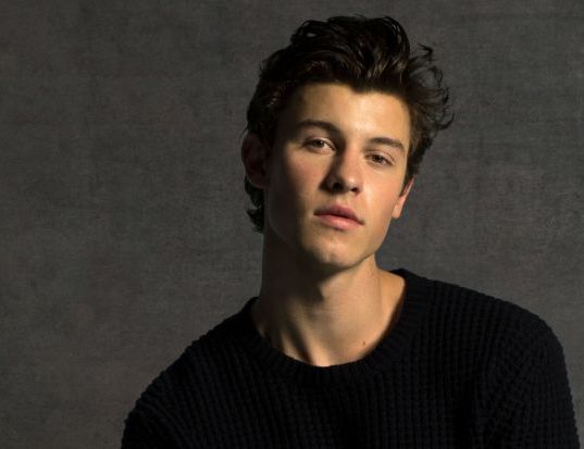 Shawn Mendes, Presspic 2018